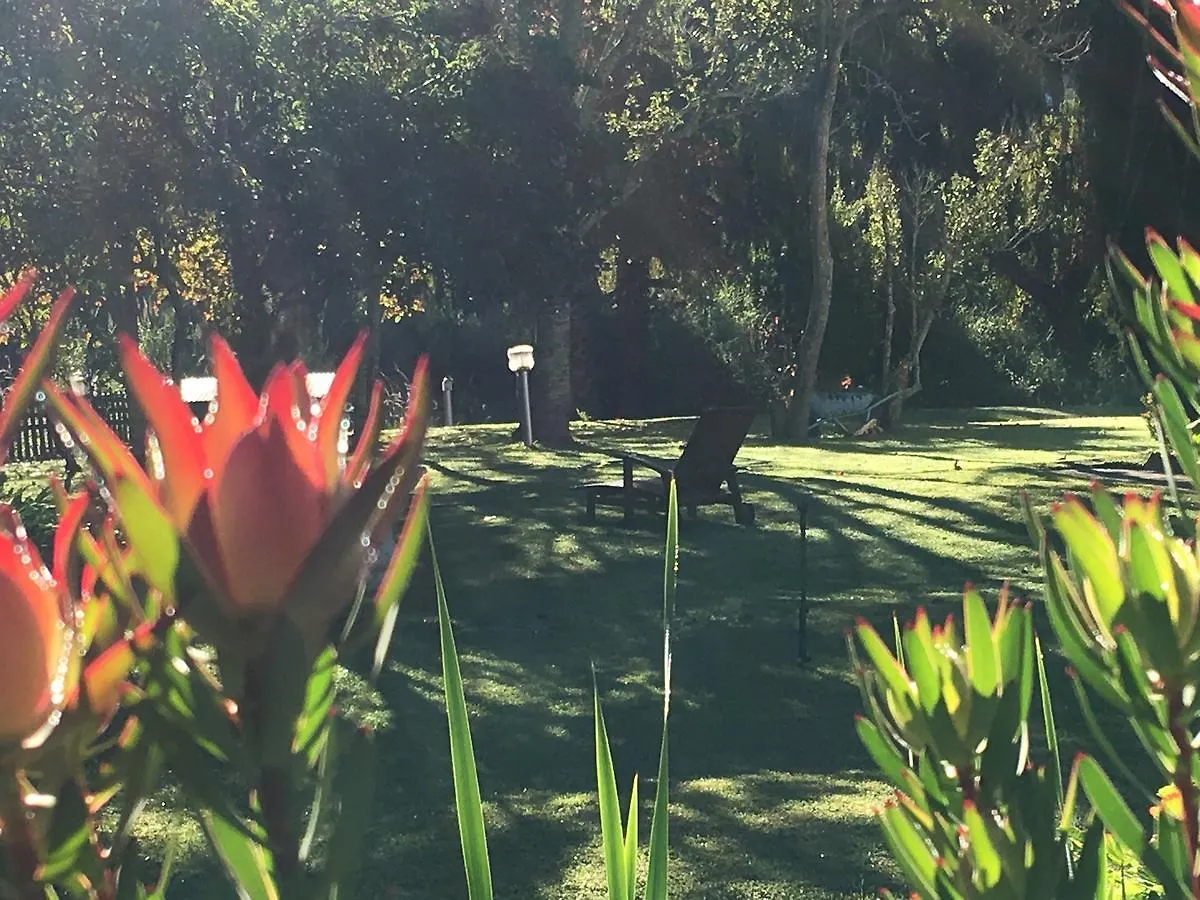 Bed and Breakfast Constantia Spring